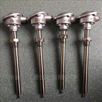 wzp赫(he)斯曼溫度(du)傳感器